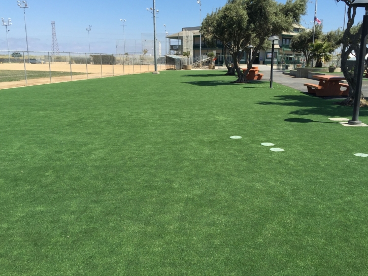 Best Artificial Grass Land O Lakes, Florida City Landscape, Recreational Areas