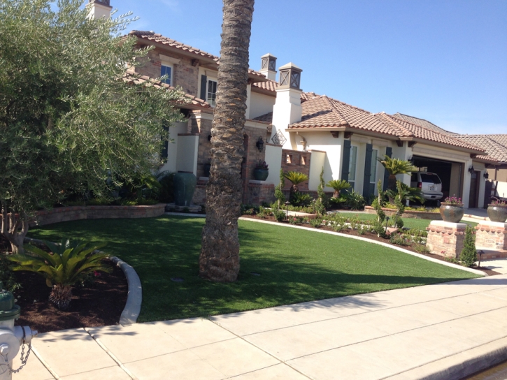 Fake Grass Bay Lake Florida Lawn Back Yard