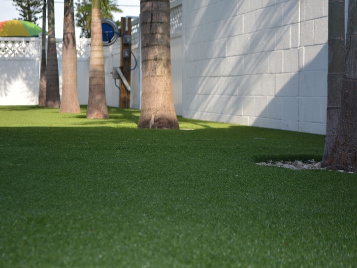 Fake Grass Carpet Malabar, Florida Landscape Ideas, Commercial Landscape