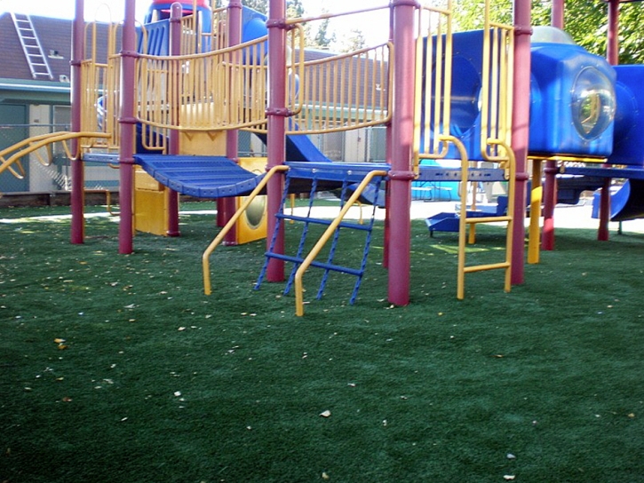 Fake Grass Dade City North Florida Playgrounds Back Yard