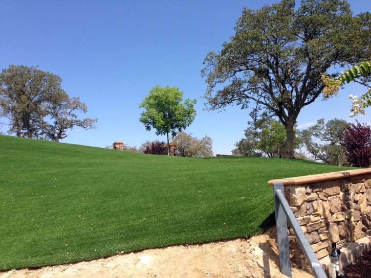 Fake Grass Hunters Creek Florida Landscape Front Yard