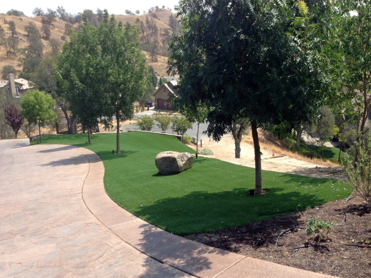 Fake Grass Longwood Florida Lawn Swimming Pools Pavers Back