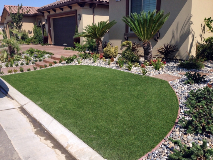 Fake Grass South Apopka Florida Landscape Commercial Landscape