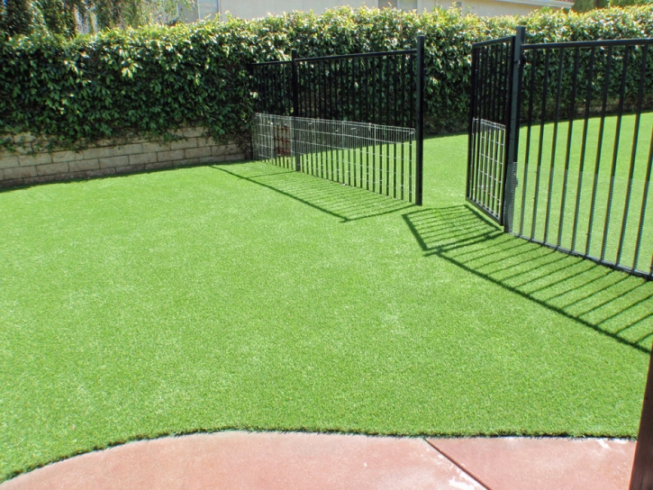 Fake Pet Grass Belleview Florida for Dogs