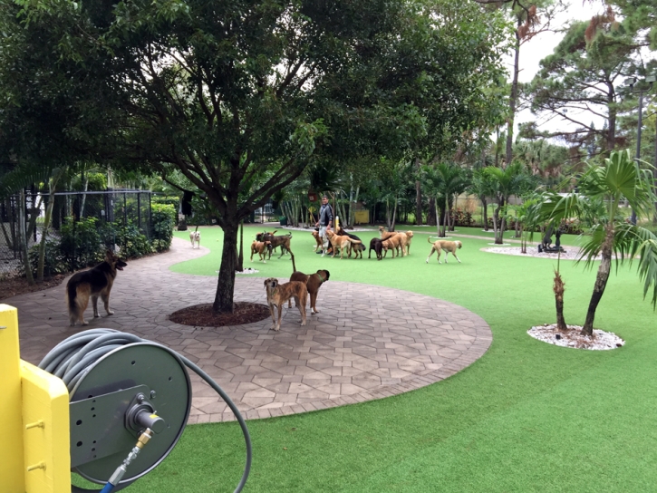 Fake Pet Turf Seville Florida for Dogs