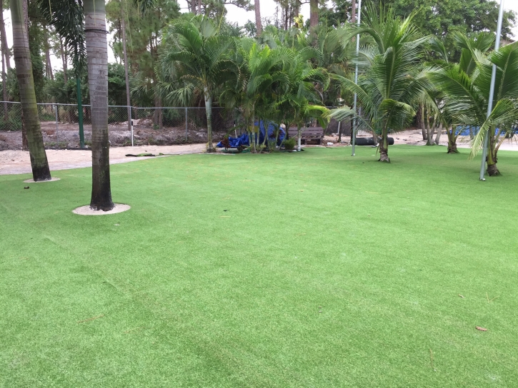 Fake Turf Brewster, Florida Landscape Ideas, Commercial Landscape