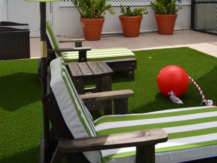 Fake Turf Orlando, Florida Landscape Ideas, Roof Top