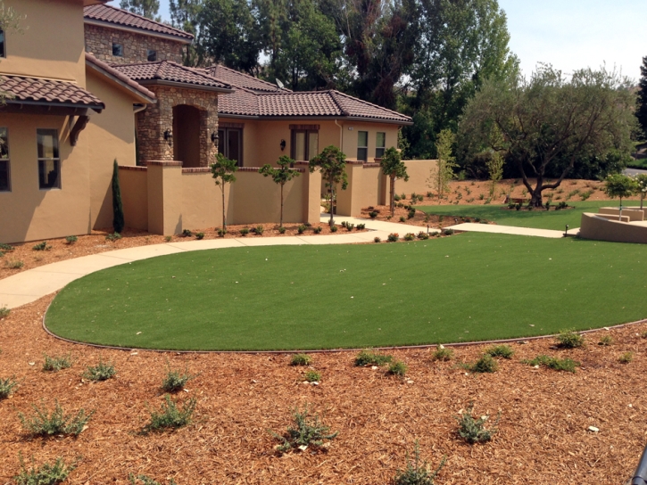 Fake Turf Paradise Heights Florida Landscape Commercial