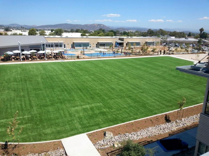 Fake Turf School Stadium Ferndale Florida Commercial Landscape