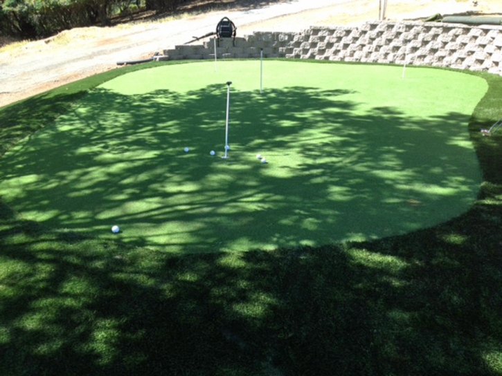 Golf Putting Greens Belle Isle Florida Synthetic Turf