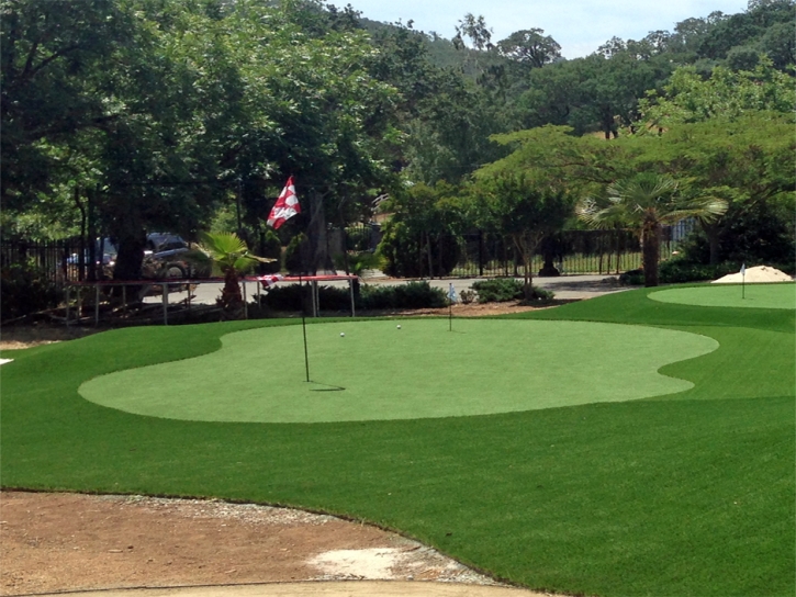 Golf Putting Greens Belleview Florida Synthetic Turf