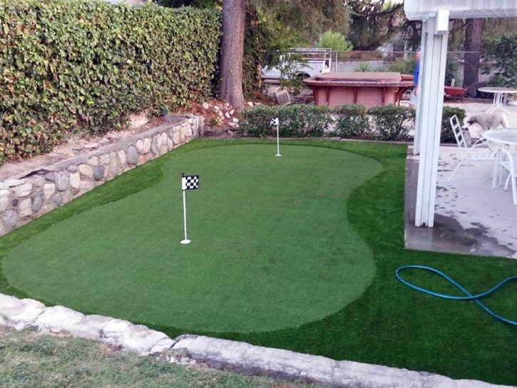 Golf Putting Greens De Leon Springs Florida Synthetic Turf