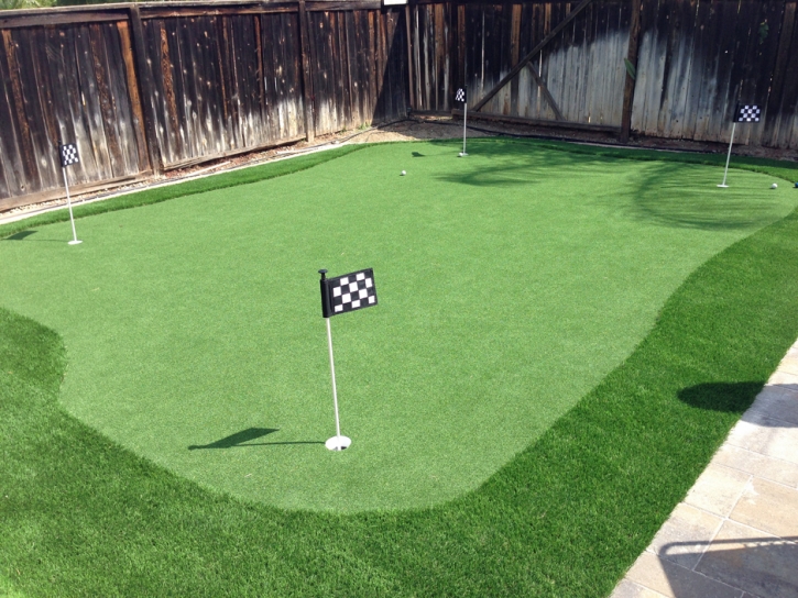 Golf Putting Greens Goldenrod Florida Synthetic Turf Dogs