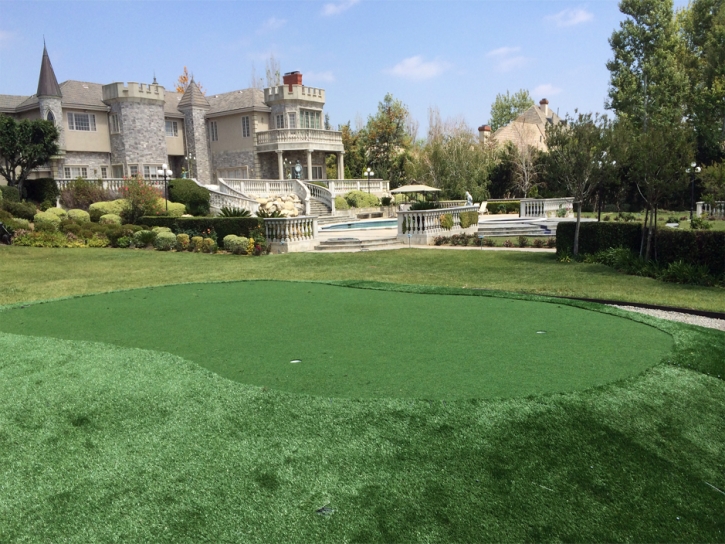 Golf Putting Greens Orlovista Florida Artificial Grass