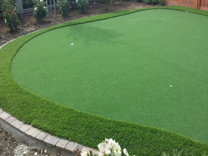 Golf Putting Greens Satellite Beach Florida Artificial Grass