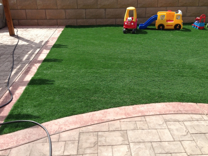 Grass Installation Valrico, Florida Roof Top, Backyard