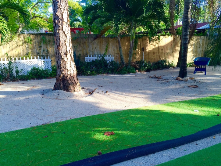 Green Lawn Inverness Highlands North, Florida Design Ideas, Commercial Landscape