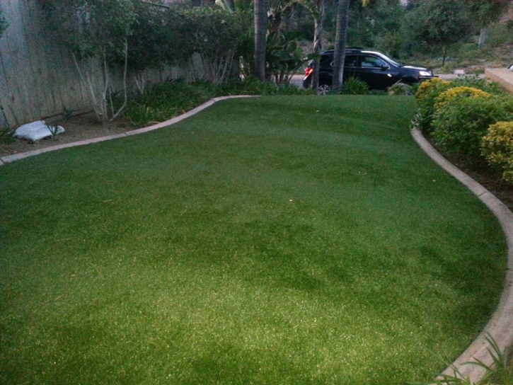 How To Install Artificial Grass Seffner, Florida Home And Garden, Front Yard Ideas