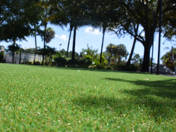 Lawn Services Fort Meade, Florida Landscaping, Parks