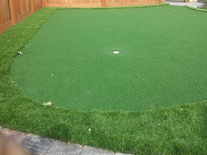 Putting Greens Alturas Florida Synthetic Grass Front Yard