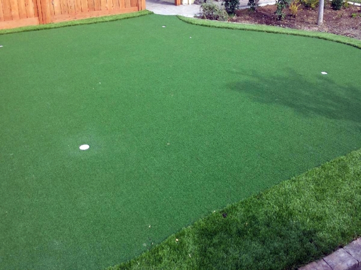 Putting Greens Astor Florida Artificial Grass Pools Back