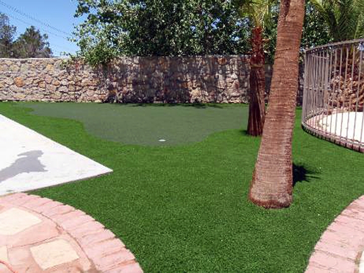 Putting Greens Daytona Beach Shores Florida Synthetic Grass