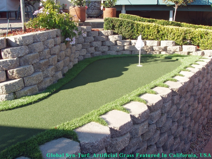 Putting Greens Fairview Shores Florida Synthetic Turf