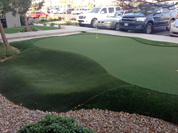 Putting Greens Jan-Phyl Village Florida Synthetic Turf Back