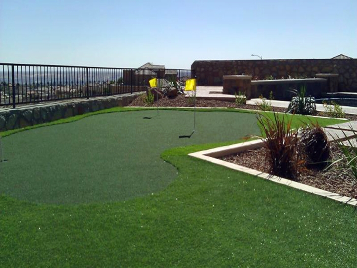 Putting Greens Taft Florida Synthetic Grass Front Yard