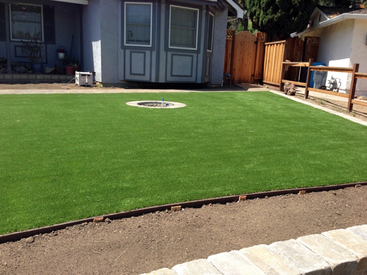 Synthetic Grass Bay Lake Florida Lawn Back Yard