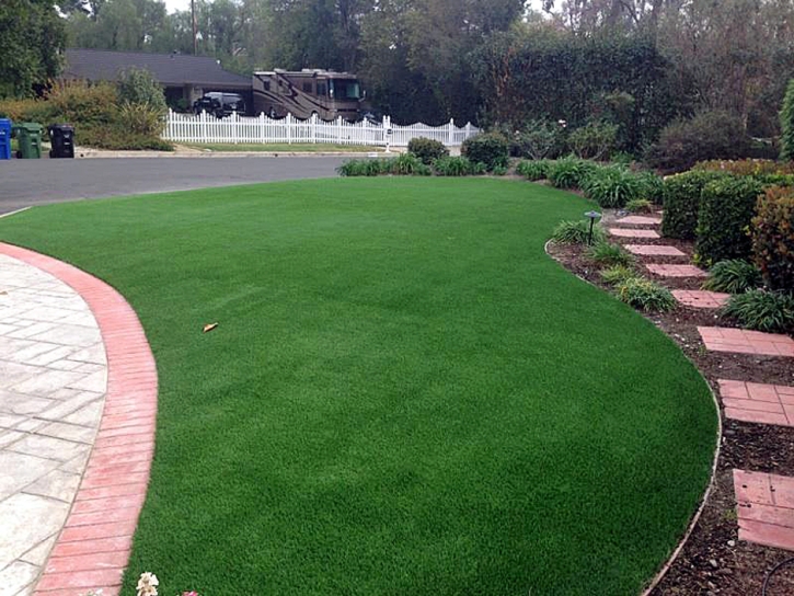 Synthetic Grass Campbell Florida Lawn Pools Back Yard