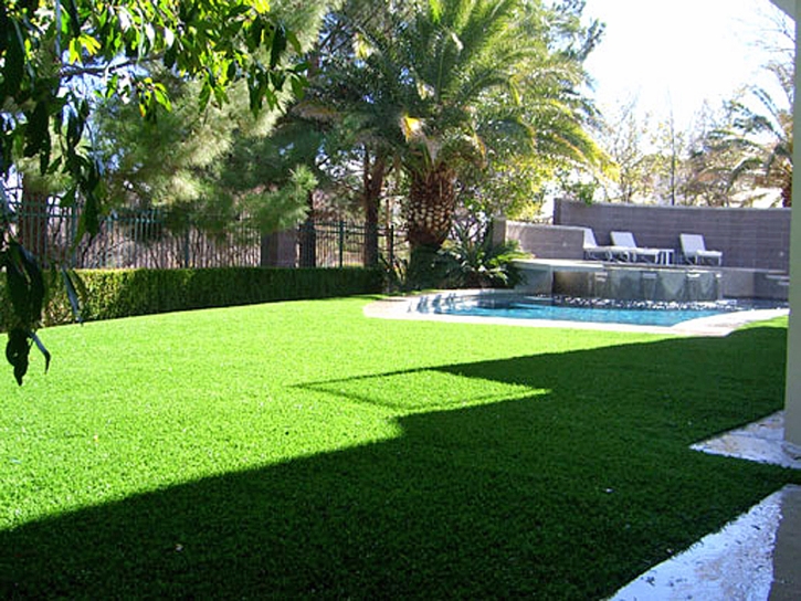 Synthetic Grass Fuller Heights Florida Lawn