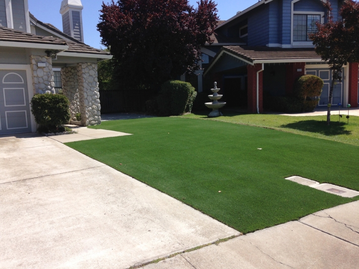 Synthetic Grass Hunters Creek Florida Lawn Recreational
