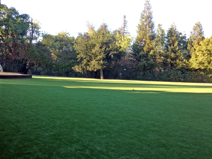 Synthetic Grass Hunters Creek Florida Lawn