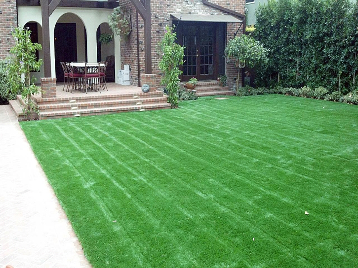Synthetic Grass Oakland Florida Landscape Front Yard
