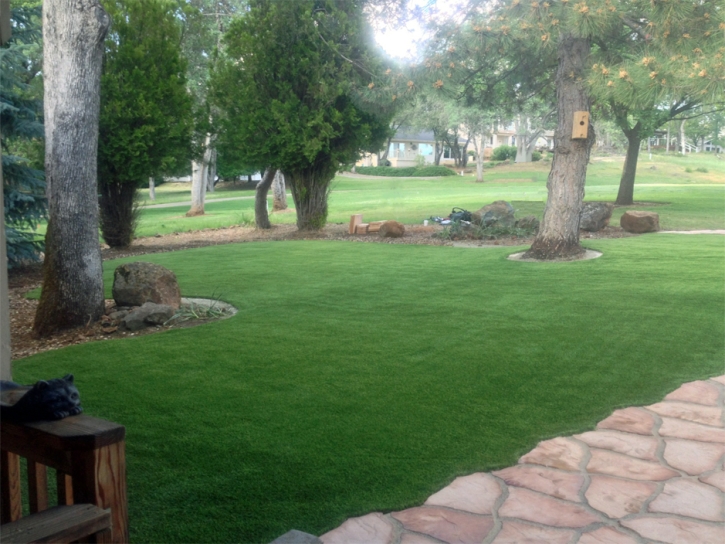 Synthetic Grass Oakland Florida Lawn Back Yard