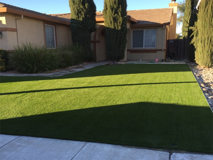 Synthetic Grass Plant City Florida Landscape