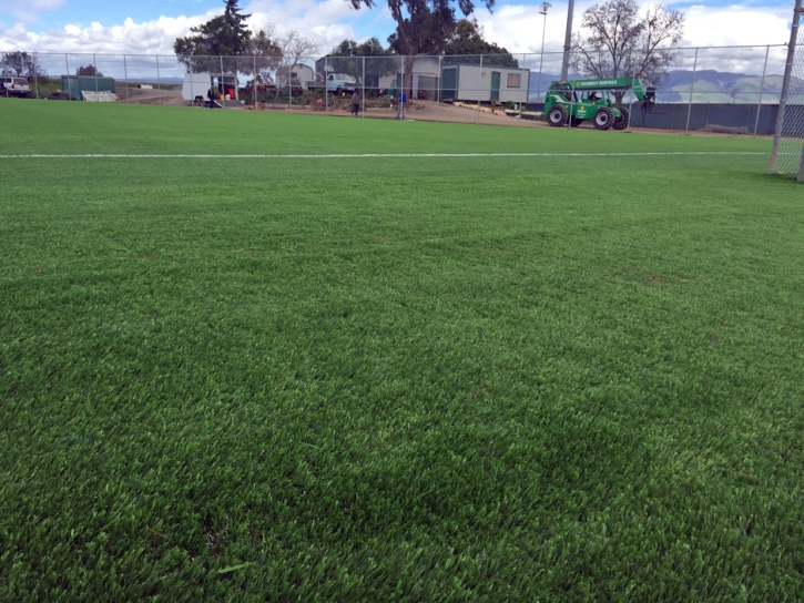 Synthetic Grass Sports Fields Frostproof Florida