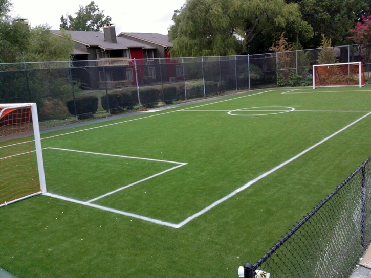 Synthetic Grass Sports Fields South Apopka Florida Front