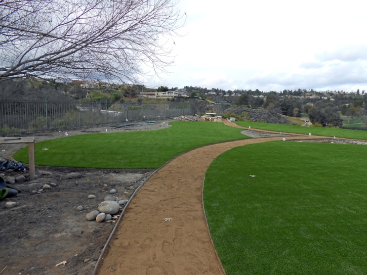 Synthetic Grass Sports Fields Tangerine Florida Front Yard