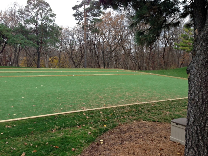 Synthetic Grass Stadium Lake Panasoffkee Florida Parks