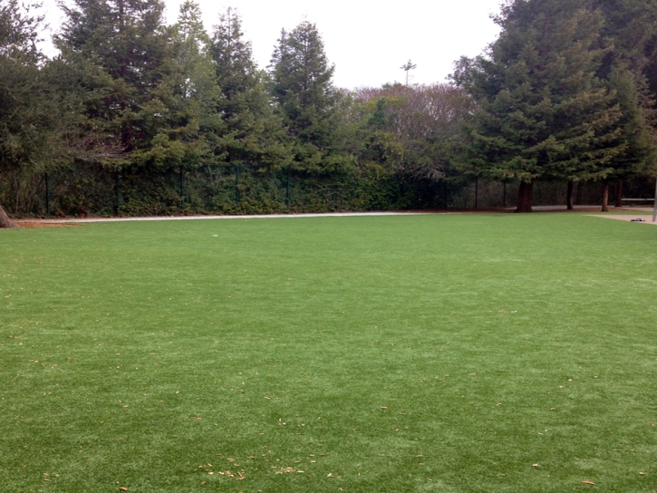Synthetic Grass Umatilla Florida Lawn Front Yard