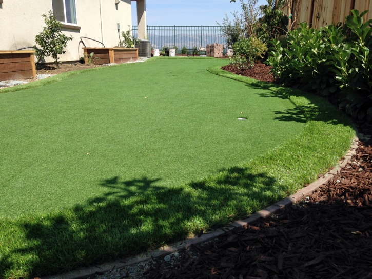 Synthetic Grass Wekiwa Springs Florida Landscape Front