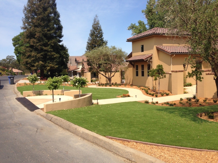 Synthetic Grass Winter Garden Florida Lawn Swimming Pools