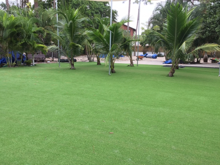 Synthetic Lawn Welaka, Florida Rooftop, Commercial Landscape