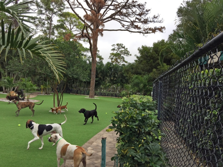 Synthetic Pet Turf Medulla Florida for Dogs