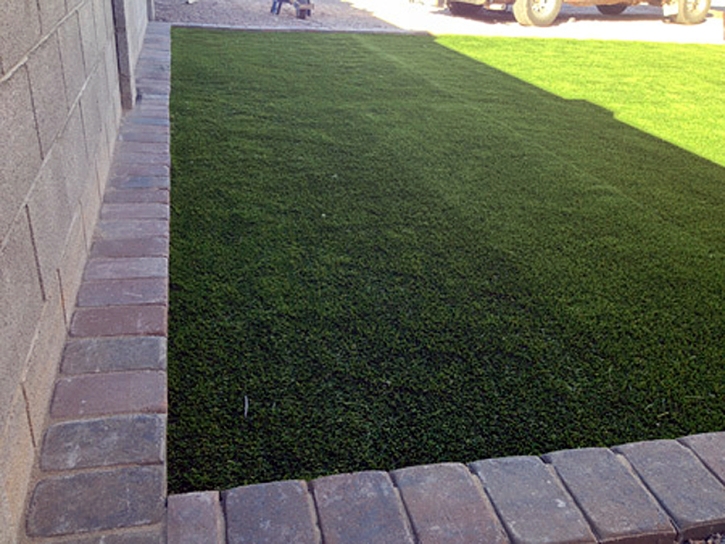 Synthetic Pet Turf Nobleton Florida for Dogs