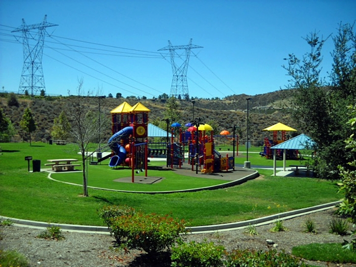 Synthetic Turf Fussels Corner Florida Playgrounds Dog Kennels