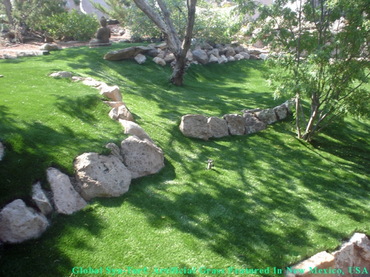 Synthetic Turf Holden Heights Florida Landscape