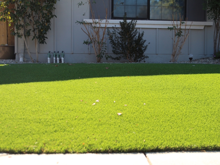 Synthetic Turf Indialantic Florida Lawn